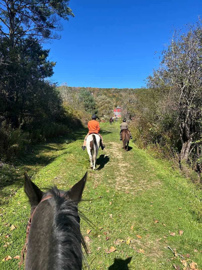 Trail Rides Through Autumn Color