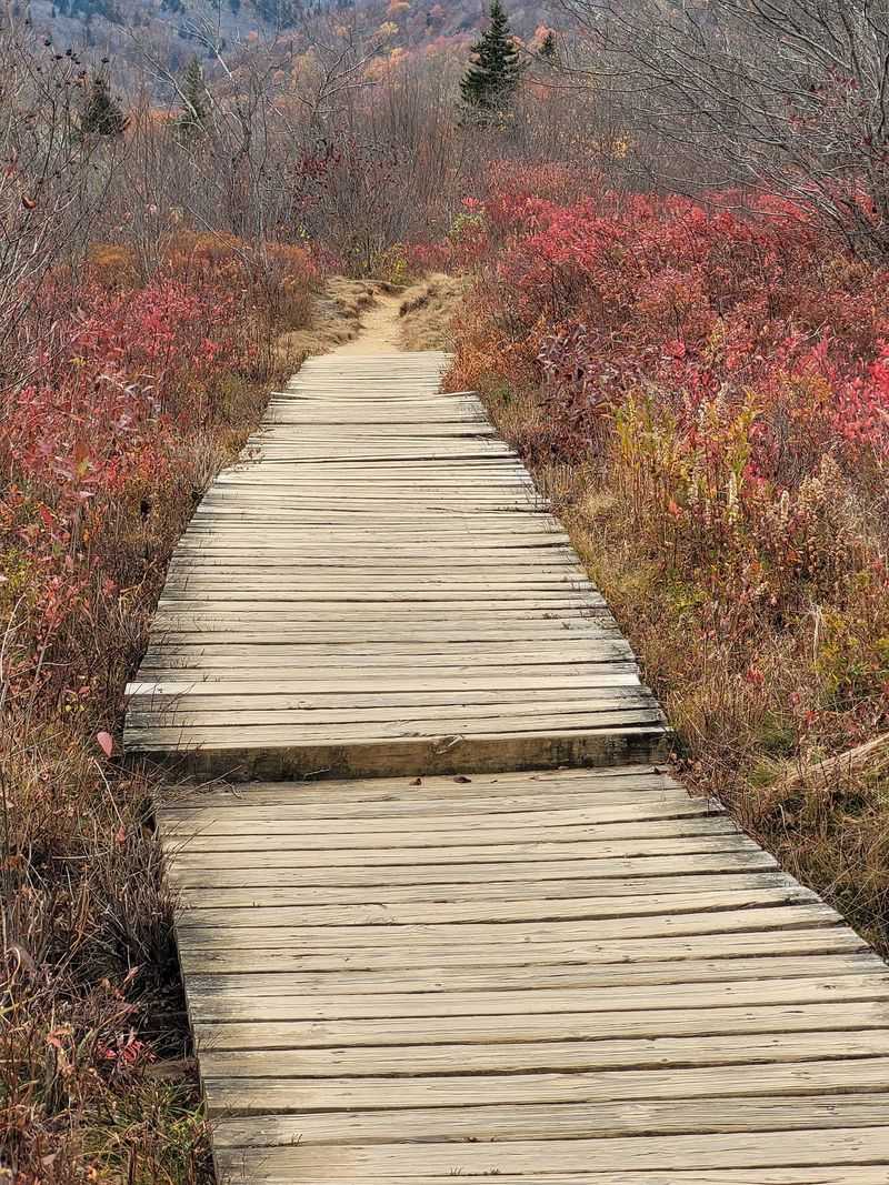 Trail Surfaces From Pavement to Roots