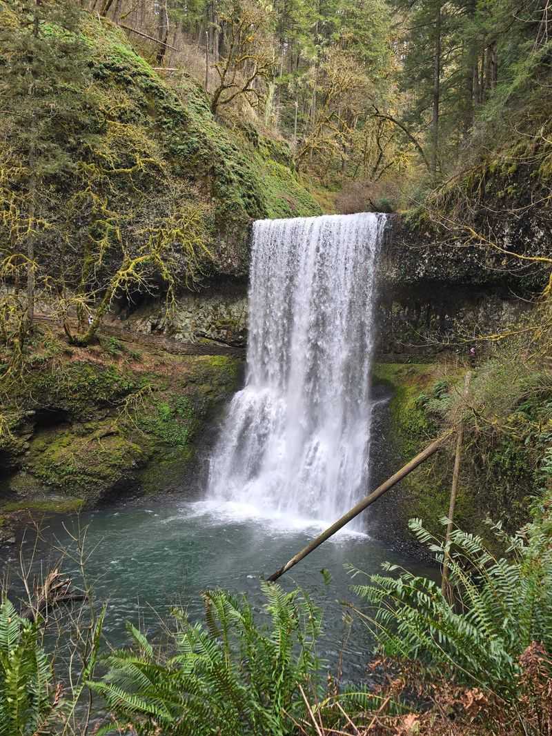 Trail of Ten Falls, Piece by Piece