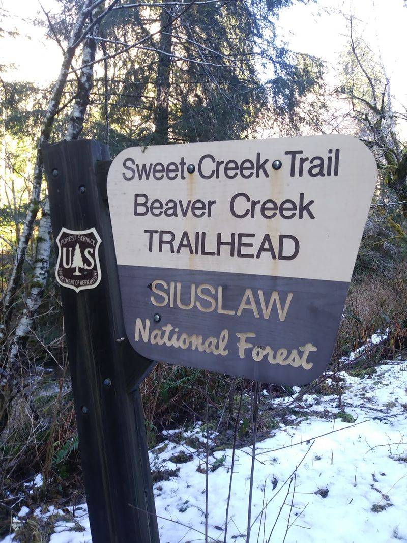 Trailhead Notes and the Wagon Wheel Connection