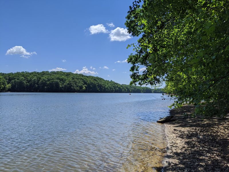 Trails Along the Shoreline
