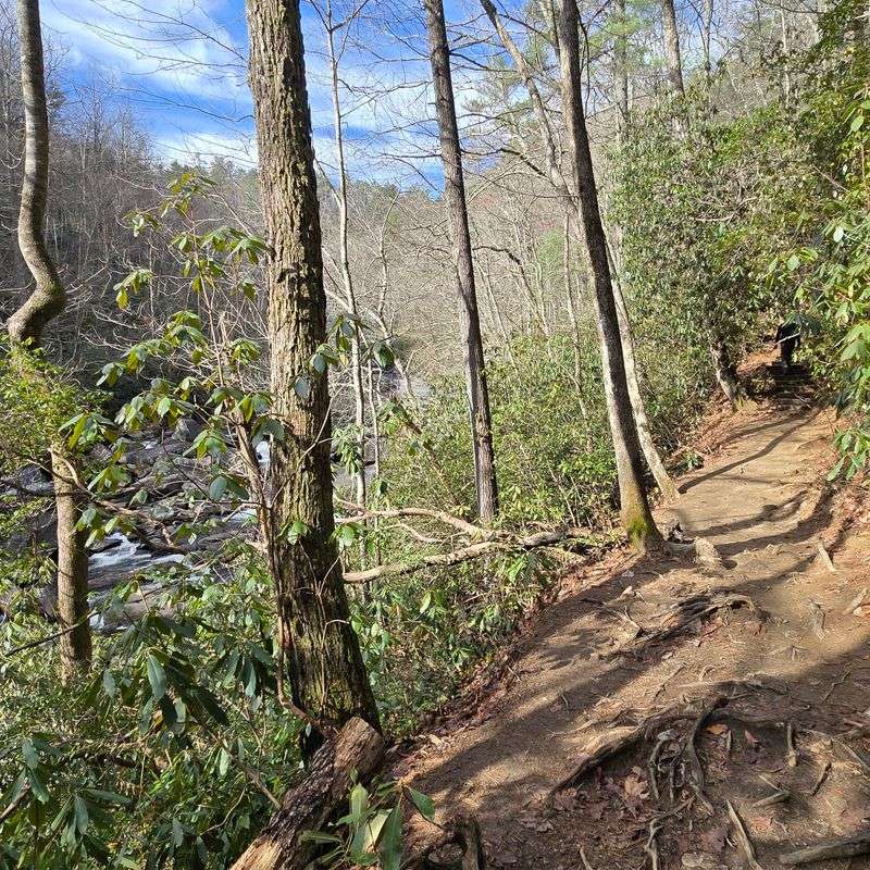 Trails Built for Real Adventure