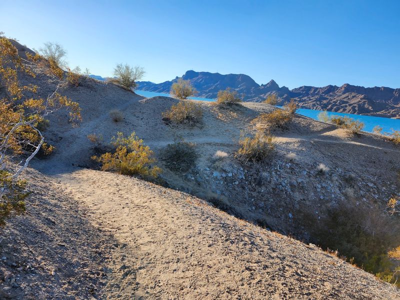 Trails, Cacti, and a Loop Worth Lacing Up For