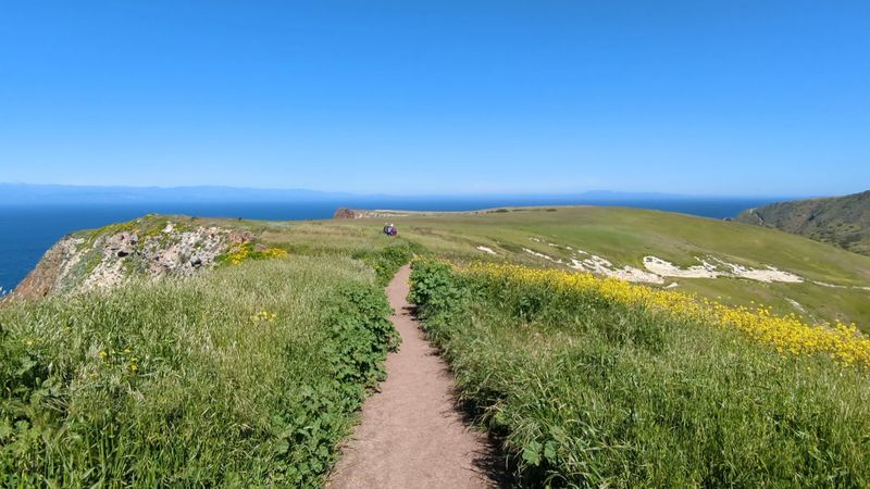 Trails From Quick Strolls to Ridge-Top Treks