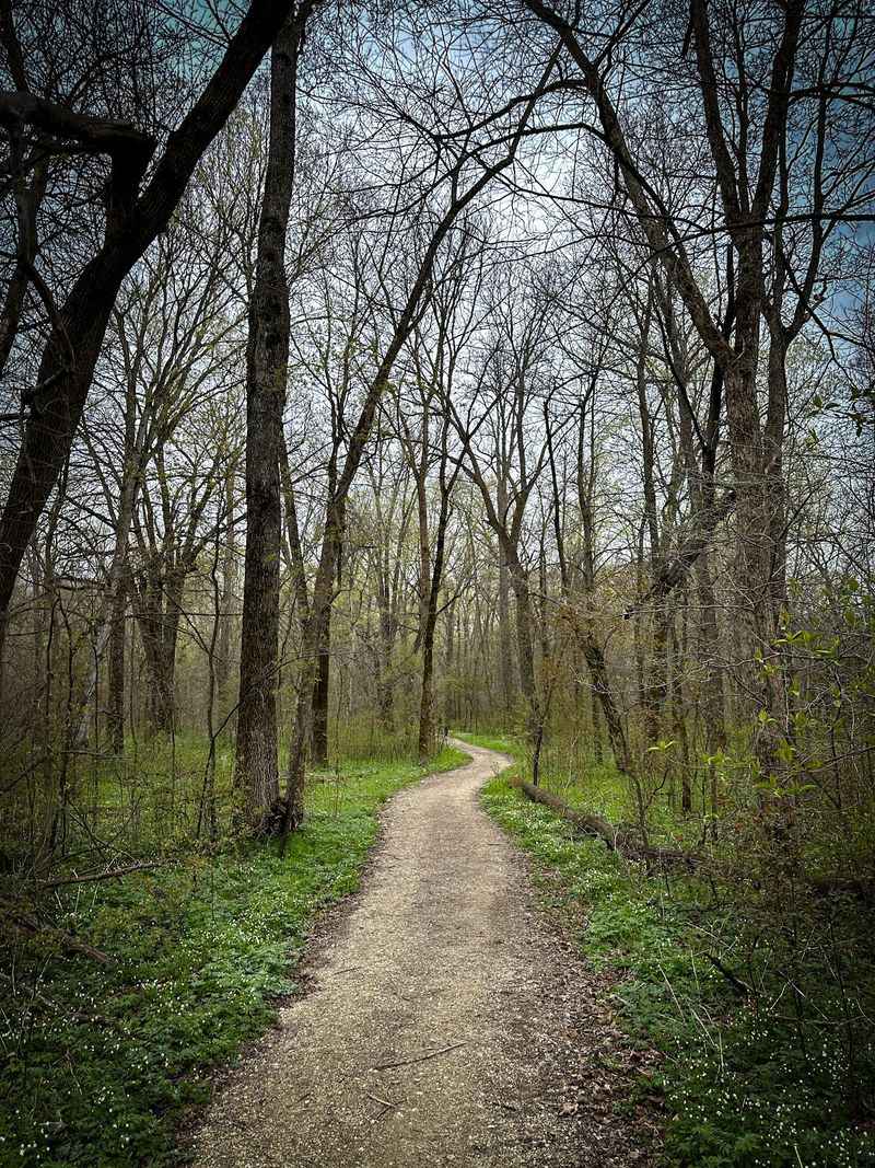Trails, Horses, and the Palisades Path