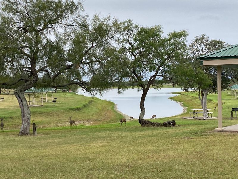 Trails, Picnics, and Day Use Fun