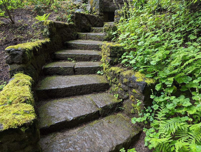 Trails, Stairs, and What to Know About Terrain