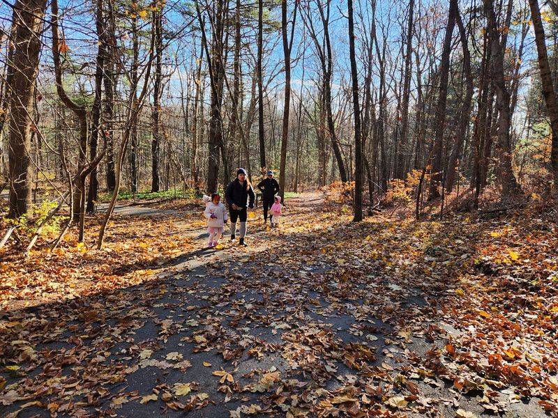 Trails That Connect Like Puzzle Pieces Trails That Connect Like Puzzle Pieces