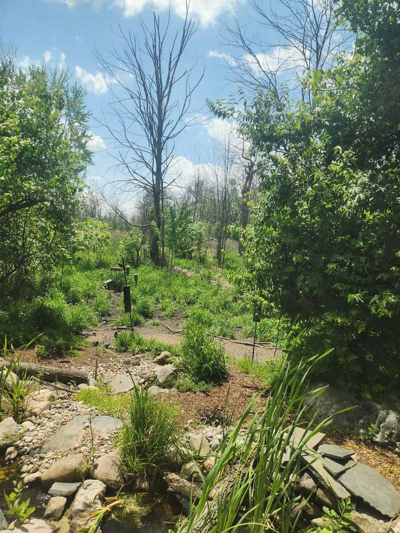 Trails That Lead Into the Island Woods