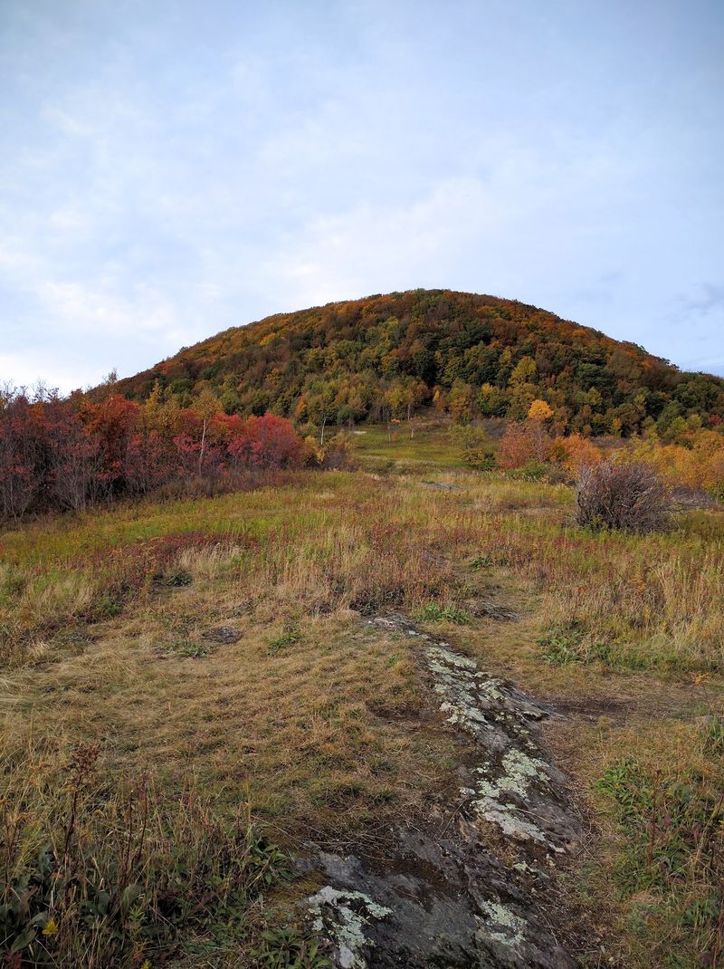 Trails That Range From Easy Strolls to Leg Burners Trails That Range From Easy Strolls to Leg Burners