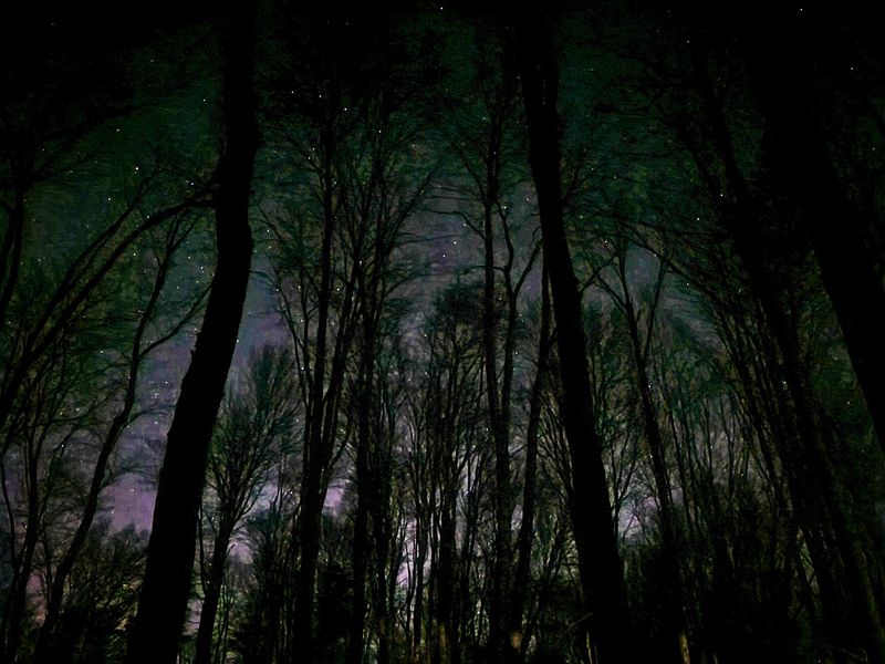 Trails That Stay Close Trails That Stay Close