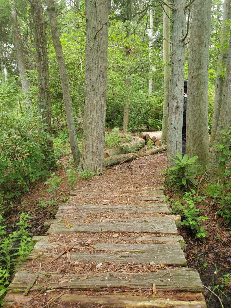 Trails That Wind Through Woods, Water, and Quiet Trails That Wind Through Woods, Water, and Quiet