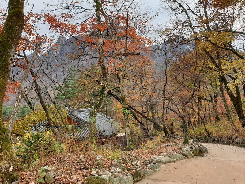 Trails, Waterfalls, and Caves Nearby Trails, Waterfalls, and Caves Nearby
