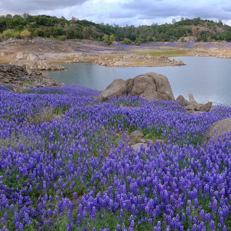 Trails, Wildflowers, and Sunset Views Trails, Wildflowers, and Sunset Views