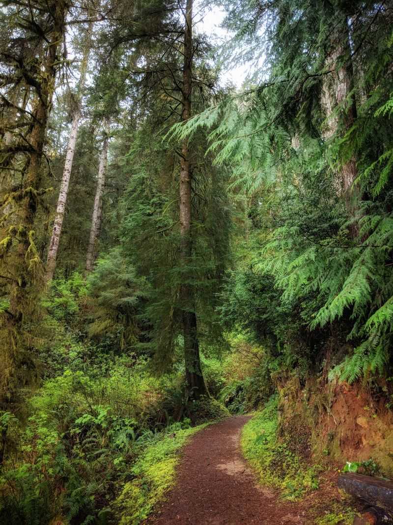 Trails, Wildlife, and Room for Dogs Trails, Wildlife, and Room for Dogs