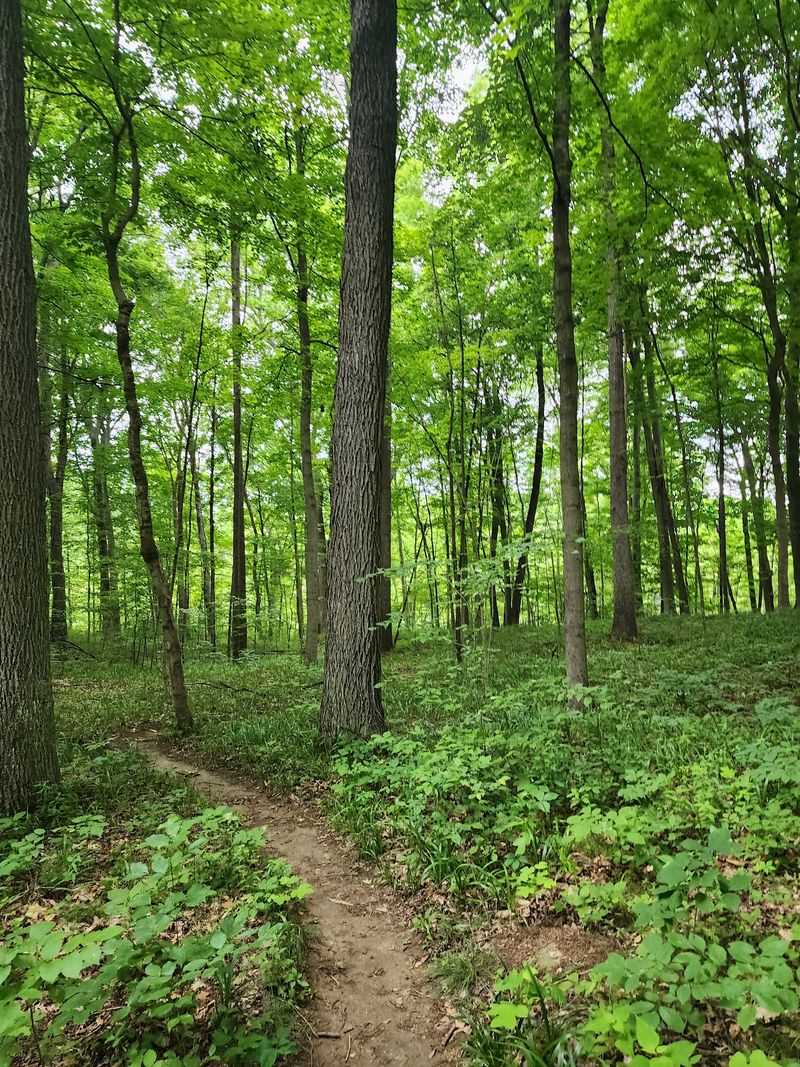 Trails for Every Energy Level