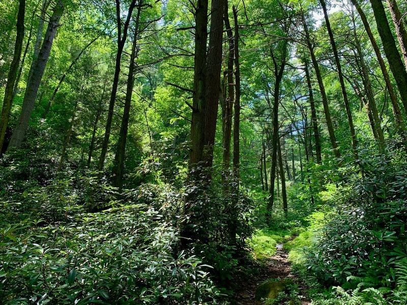Trails for Every Mood Trails for Every Mood