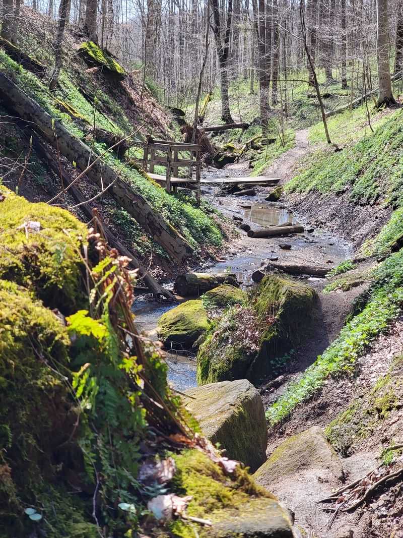 Trails for Every Pair of Legs