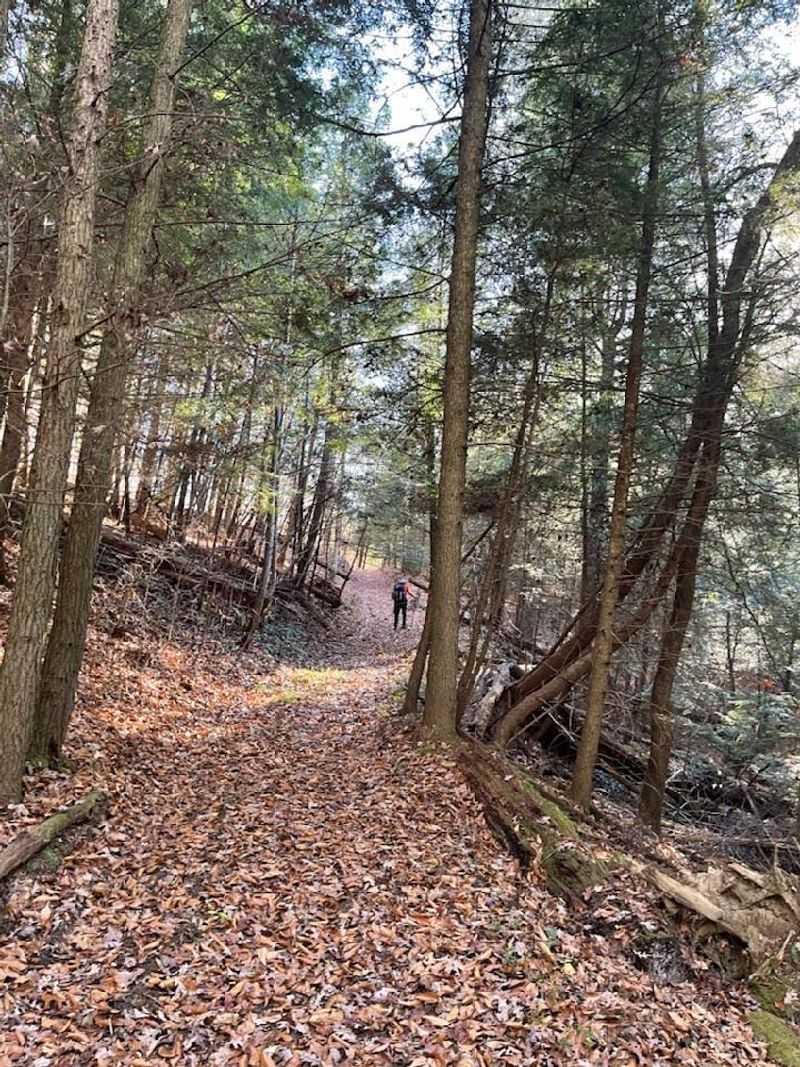 Trails for Short Strolls and Long Treks Trails for Short Strolls and Long Treks