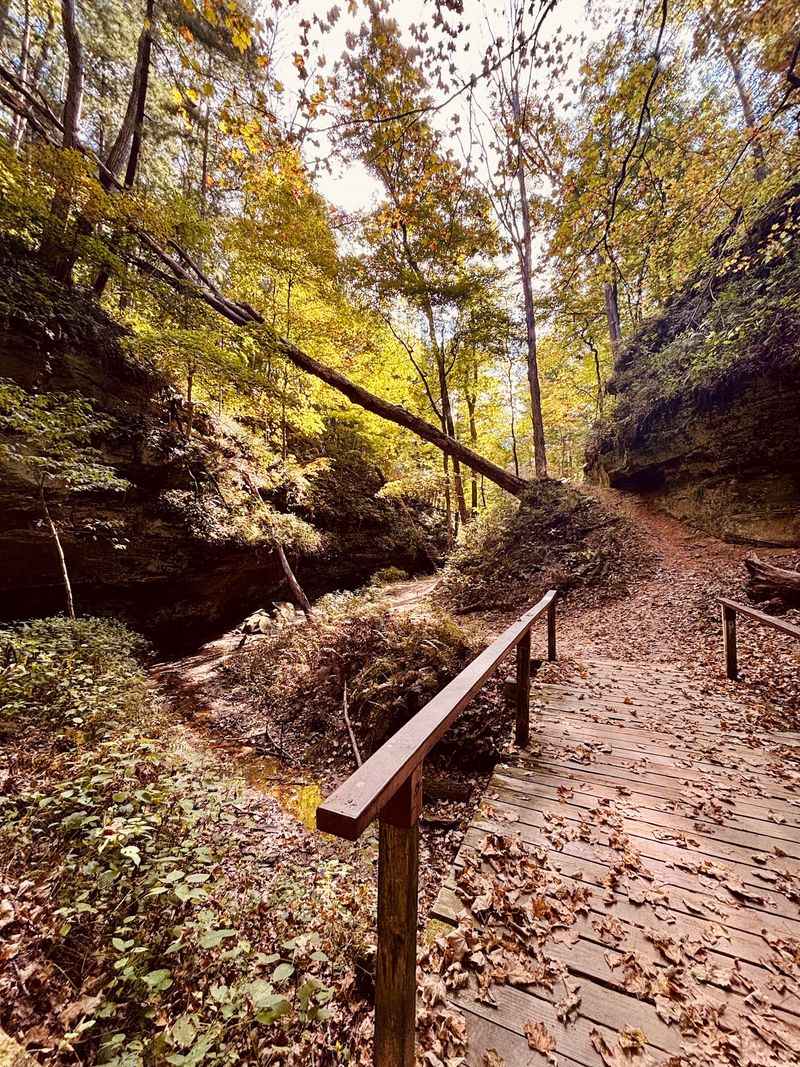 Trails for Short Strolls and Longer Hikes