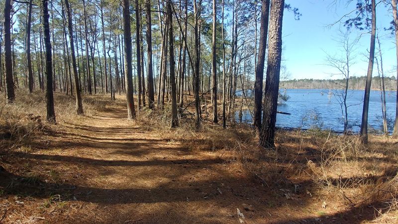 Trails for Wandering Trails for Wandering