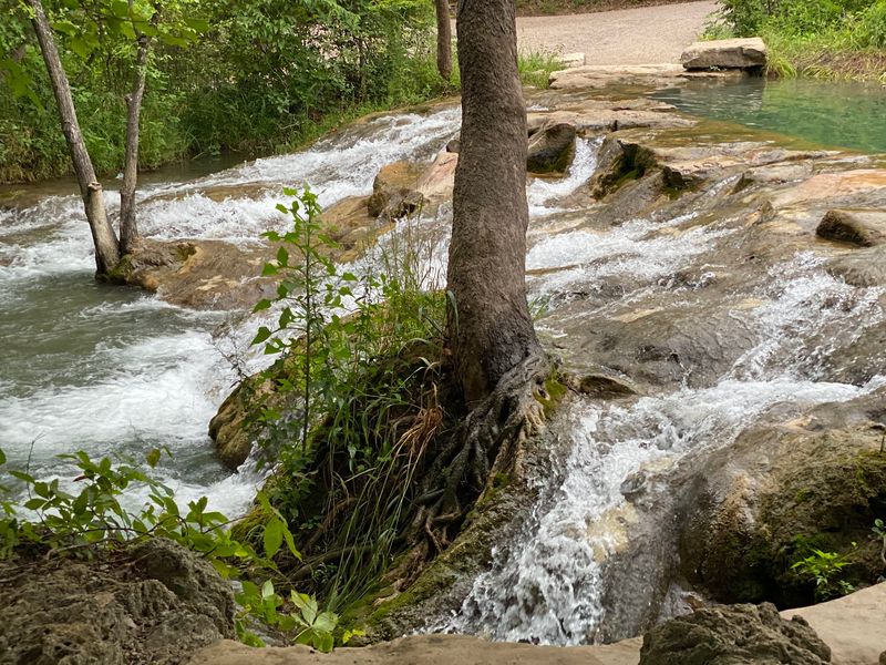 Travertine Creek and Its Spring Source