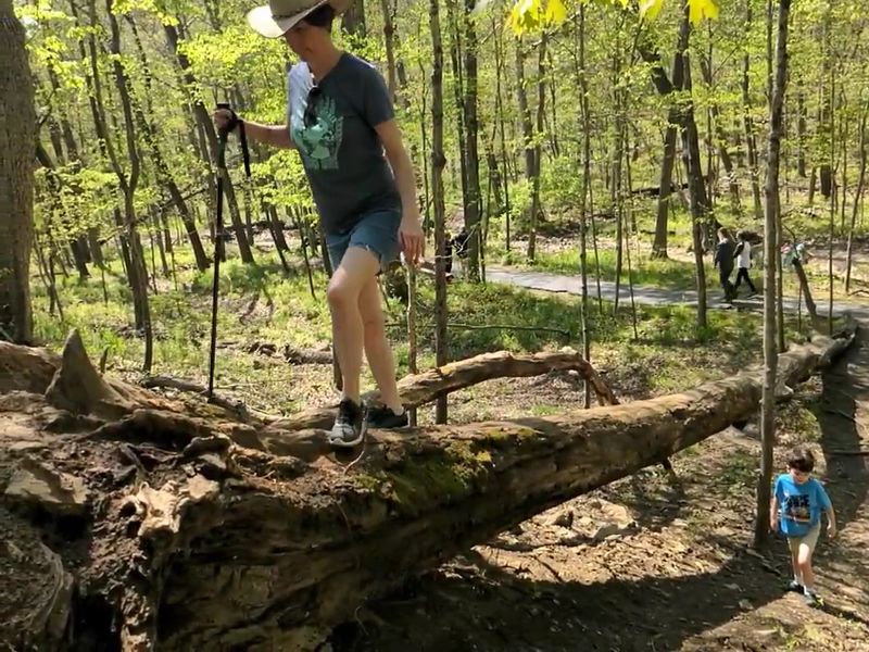 Treehouse Fun for Little Explorers
