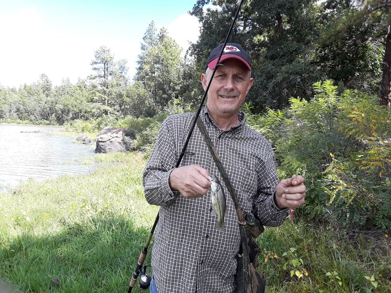 Trout, Bass, and a Surprise Catfish Trout, Bass, and a Surprise Catfish