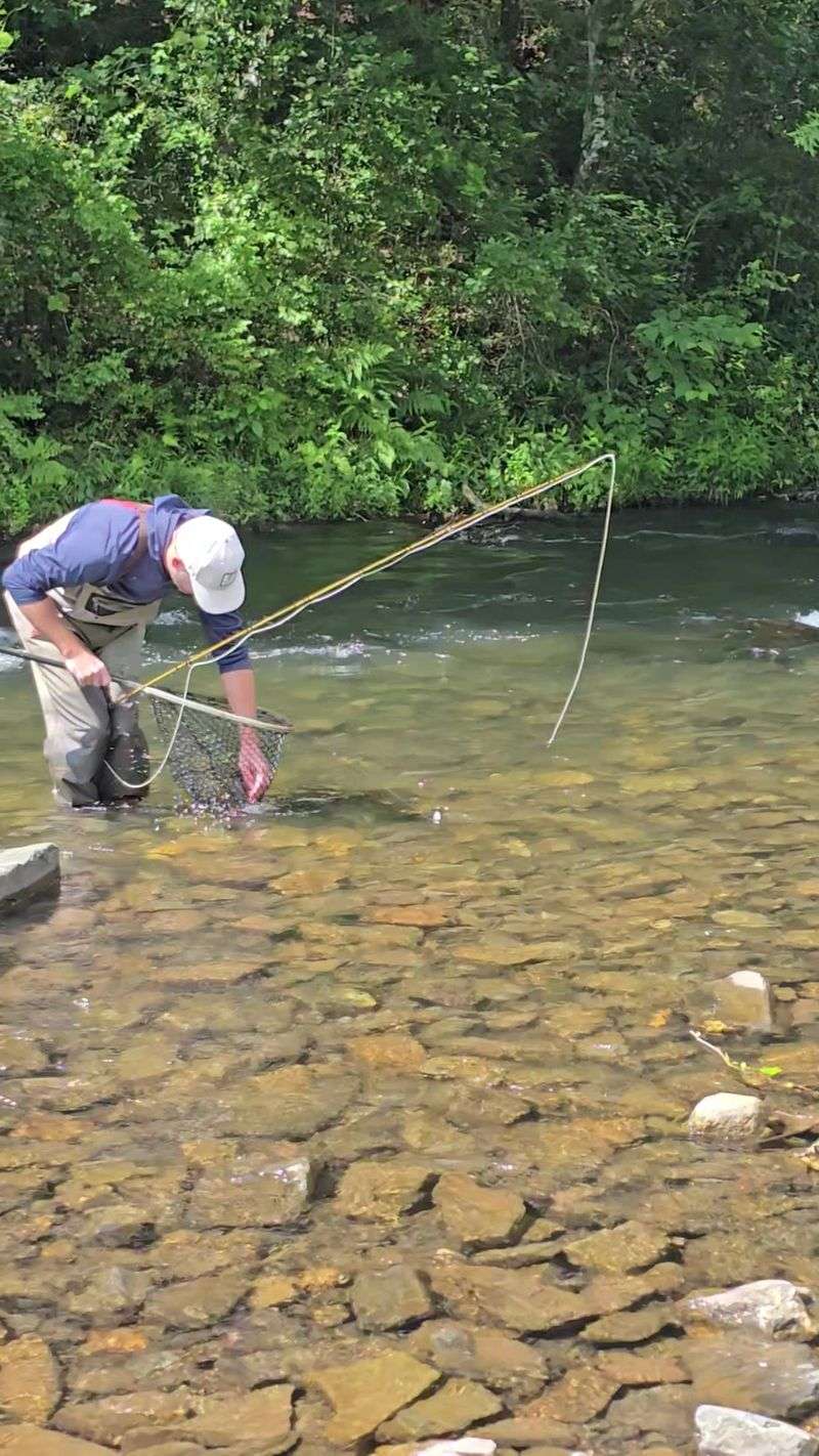 Trout Fishing and Fly Casting Trout Fishing and Fly Casting
