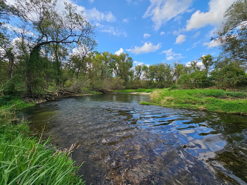 Trout Streams and Fly Fishing Waters