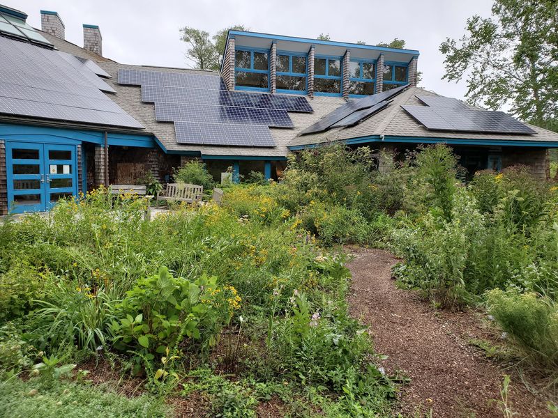 Try Island and the Pollinator Garden