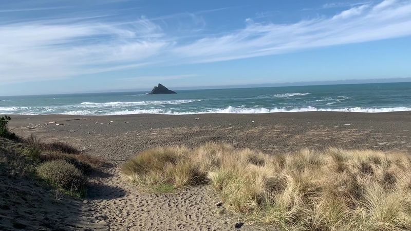 Tseriadun State Recreation Site, Port Orford, OR