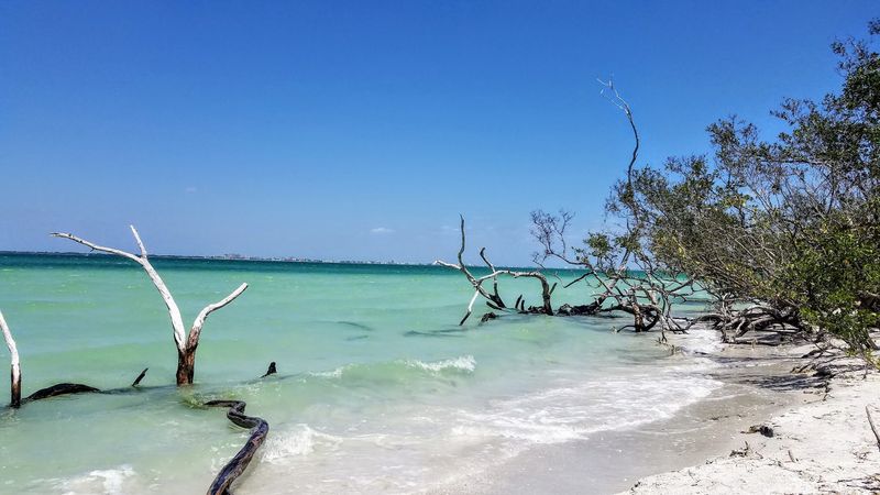 Turquoise Water and Gentle Waves Turquoise Water and Gentle Waves
