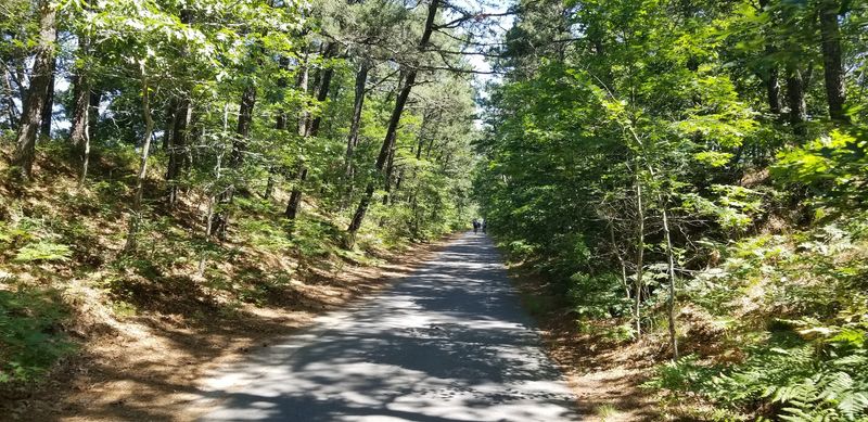 Twenty-Two Miles and Then Some Twenty-Two Miles and Then Some