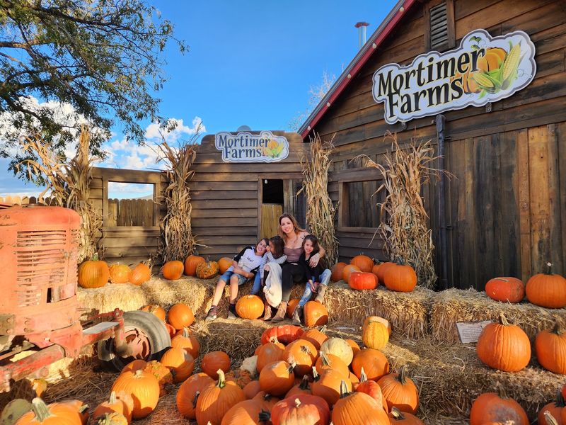 Two Decades of Growing Traditions