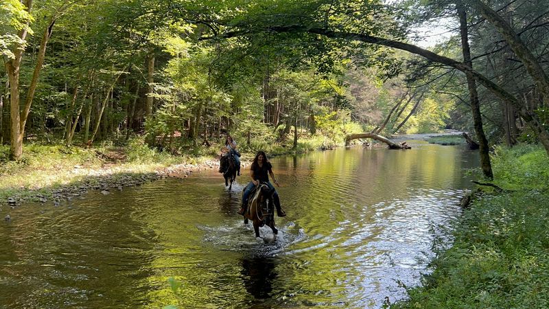 Two Hours Beyond the Riding Ring