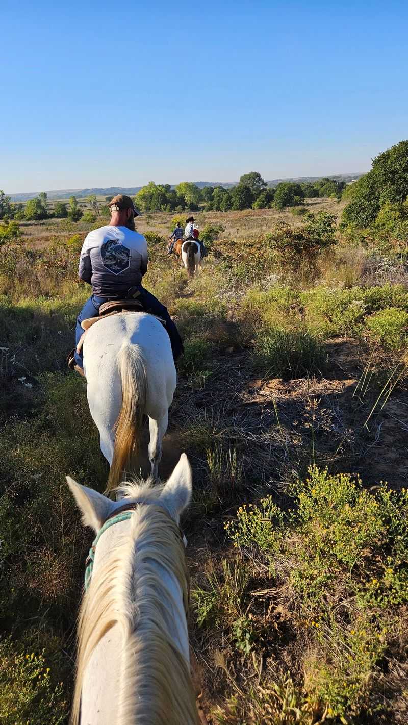 Two Hours in the Saddle, or Less
