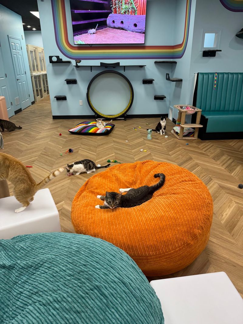 Two Rooms and Room for Choice