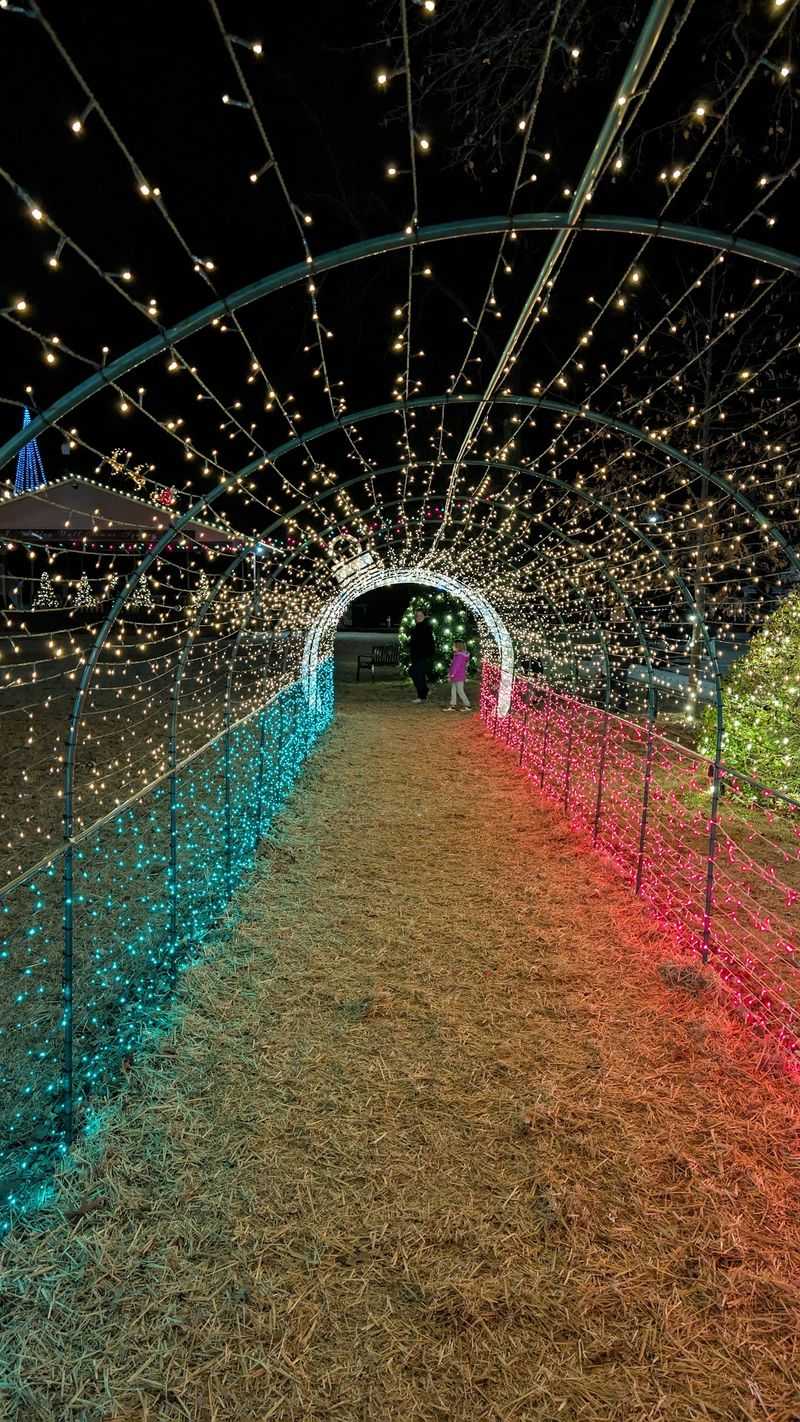 Two Sides, One Tunnel, and a Nativity Scene Two Sides, One Tunnel, and a Nativity Scene