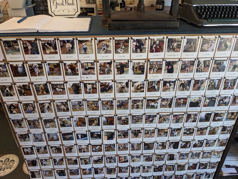 Typewriters, Polaroids, and Hidden Sayings Typewriters, Polaroids, and Hidden Sayings