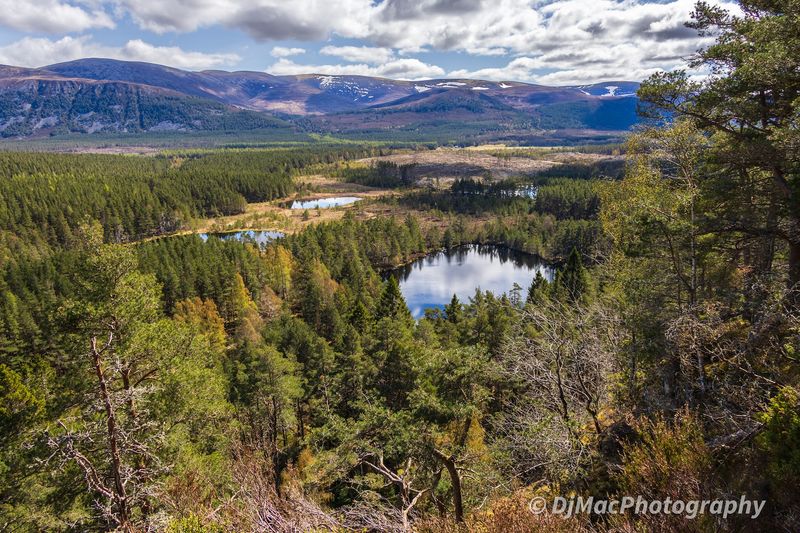 Uath Lochans, Cairngorms National Park, Scotland Uath Lochans, Cairngorms National Park, Scotland