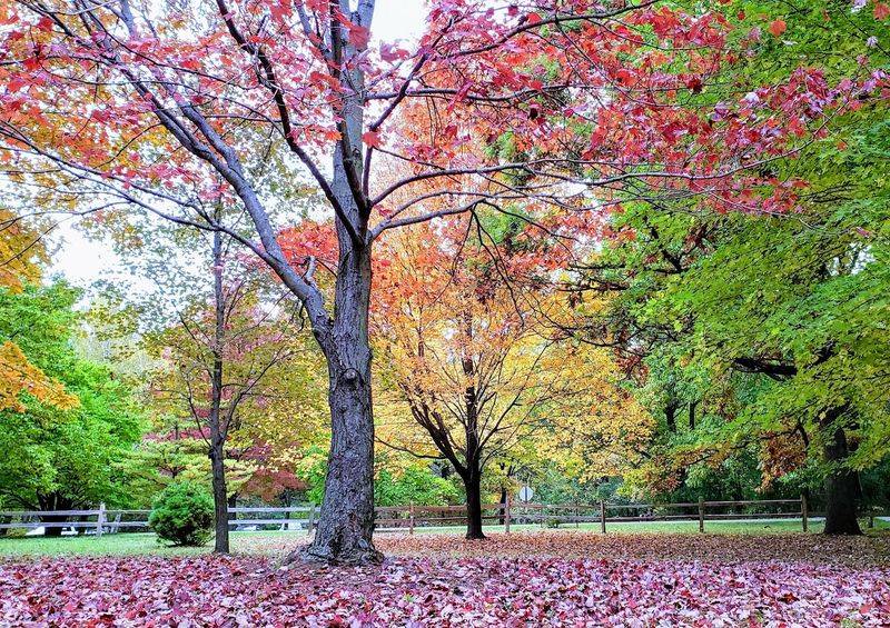 University of Wisconsin-Madison Arboretum, Madison, Wisconsin University of Wisconsin-Madison Arboretum, Madison, Wisconsin