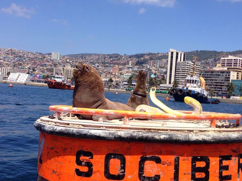 Valparaíso, Chile Valparaíso, Chile