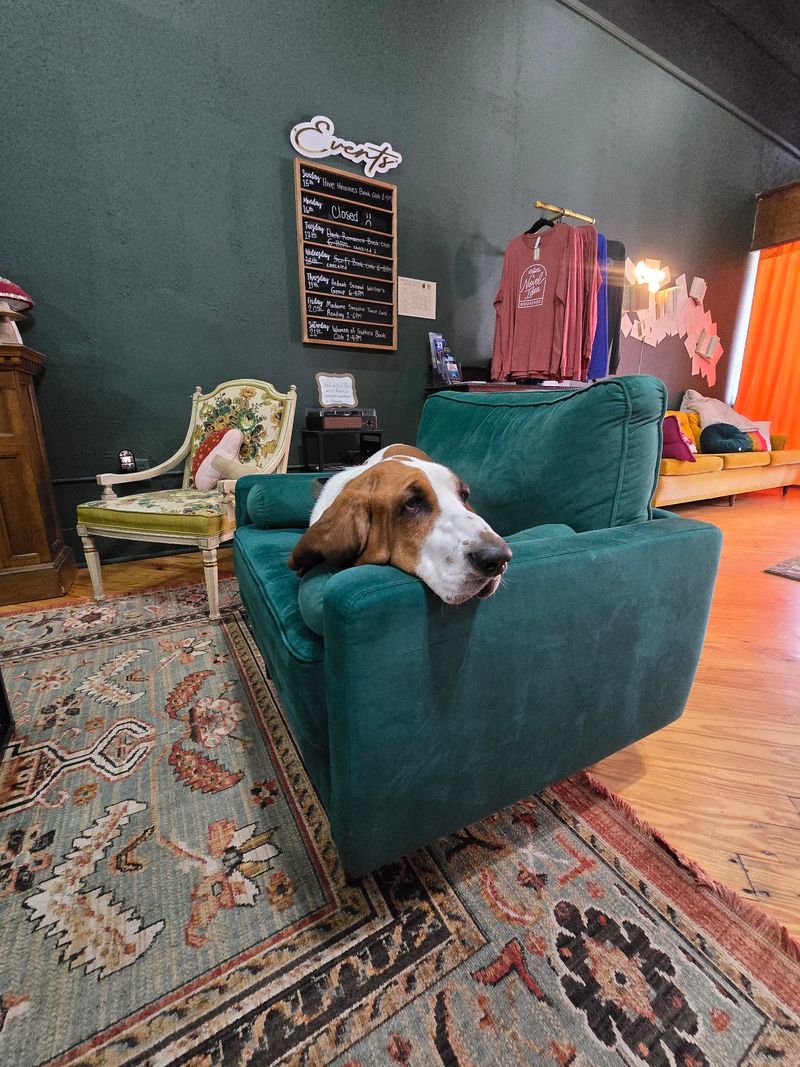 Velvet Sofas and Moody, Calming Colors