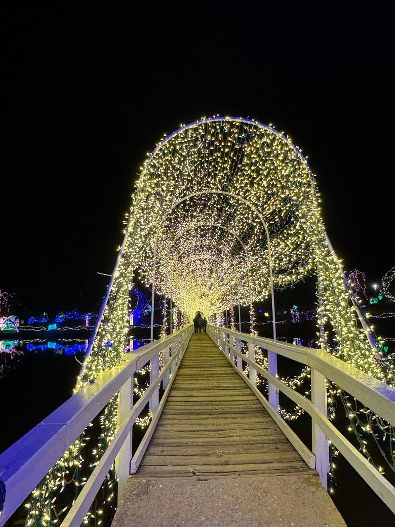 Volunteers Behind Every Twinkling Strand