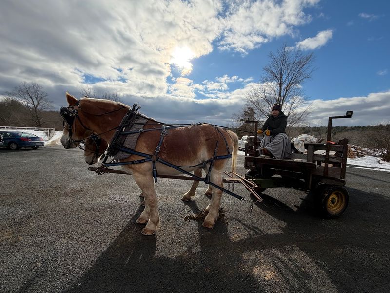 Wagon Rides Across Hundreds Of Acres Wagon Rides Across Hundreds Of Acres