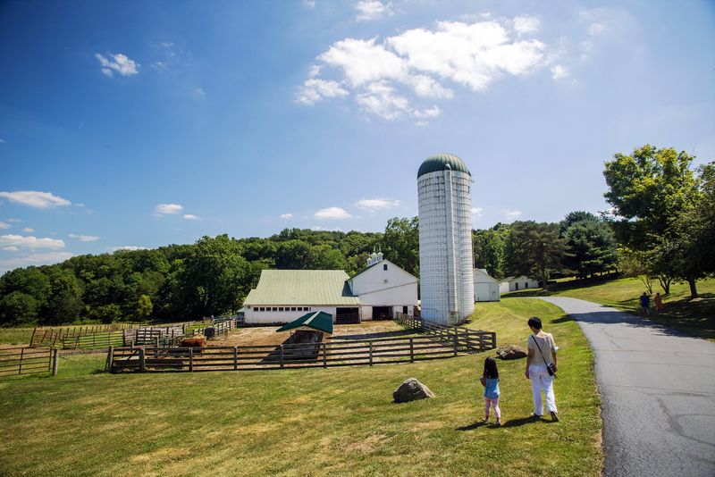 Wagon Rides, Tractor Tours, and Other Easy Wins Wagon Rides, Tractor Tours, and Other Easy Wins