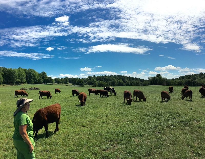 Walker Farm at Whortleberry Hill