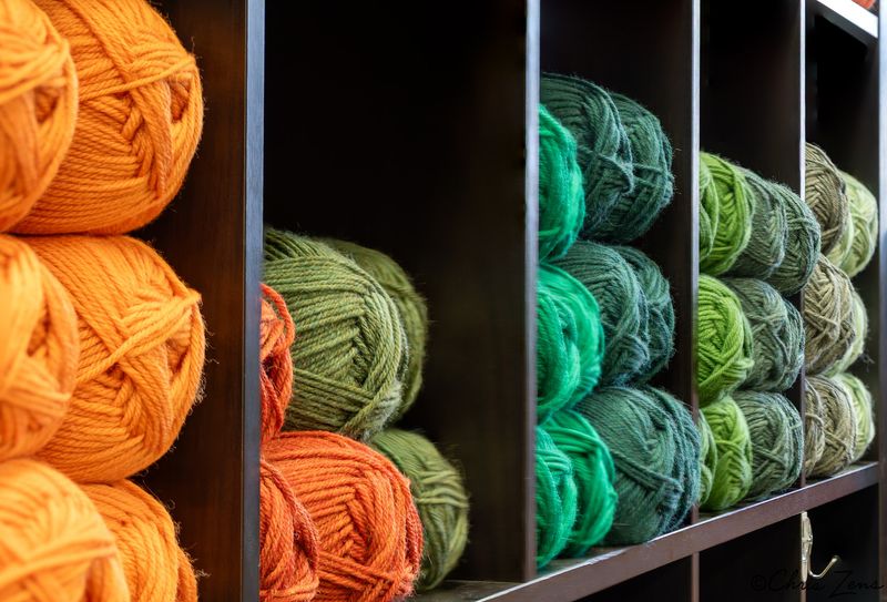 Walls of Color From Floor to Ceiling