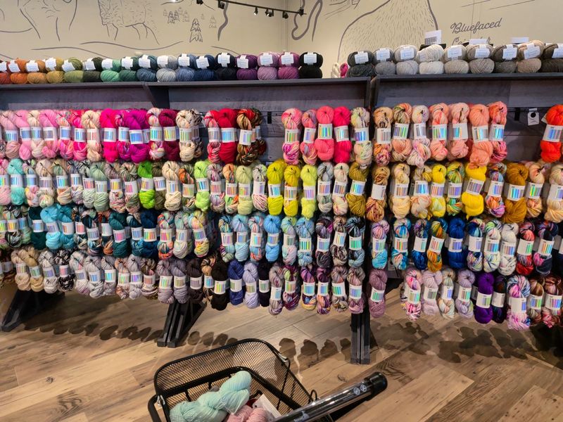 Walls of Color, Shelf After Shelf